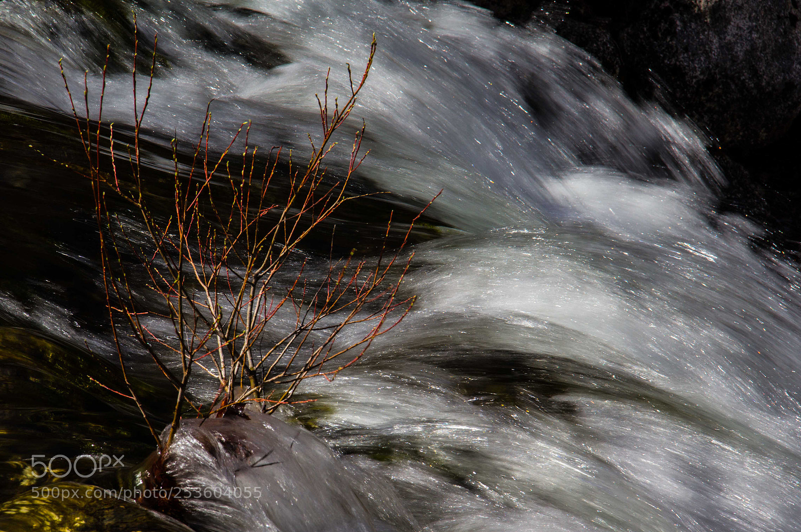 Canon EOS 60D sample photo. Neuhauser bach photography