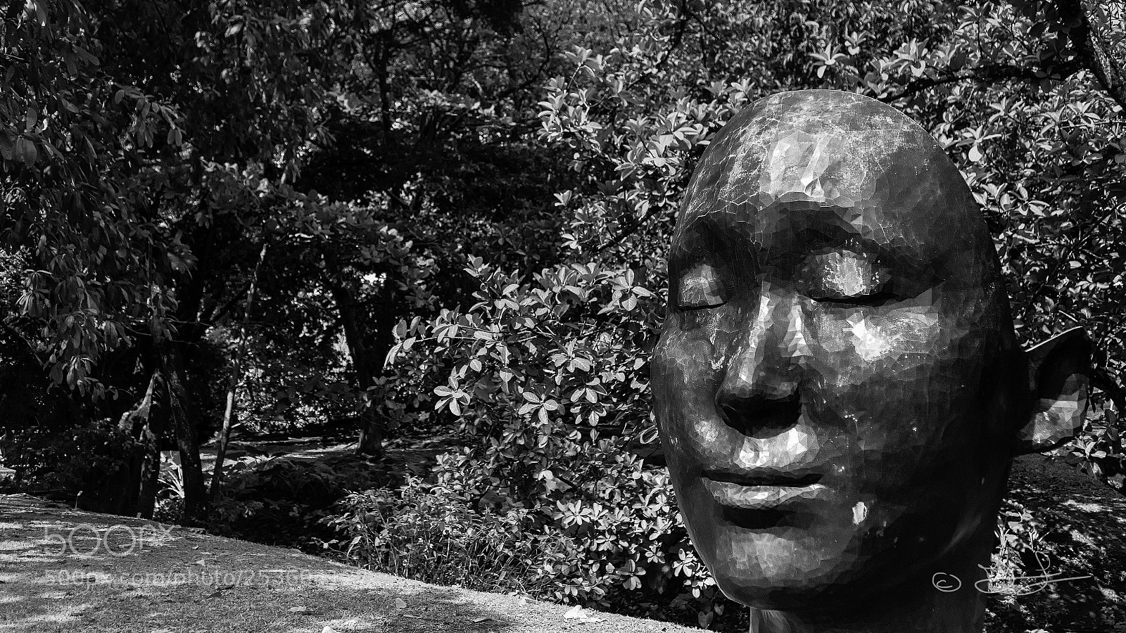 Nikon D7000 sample photo. Le visage de virtual photography