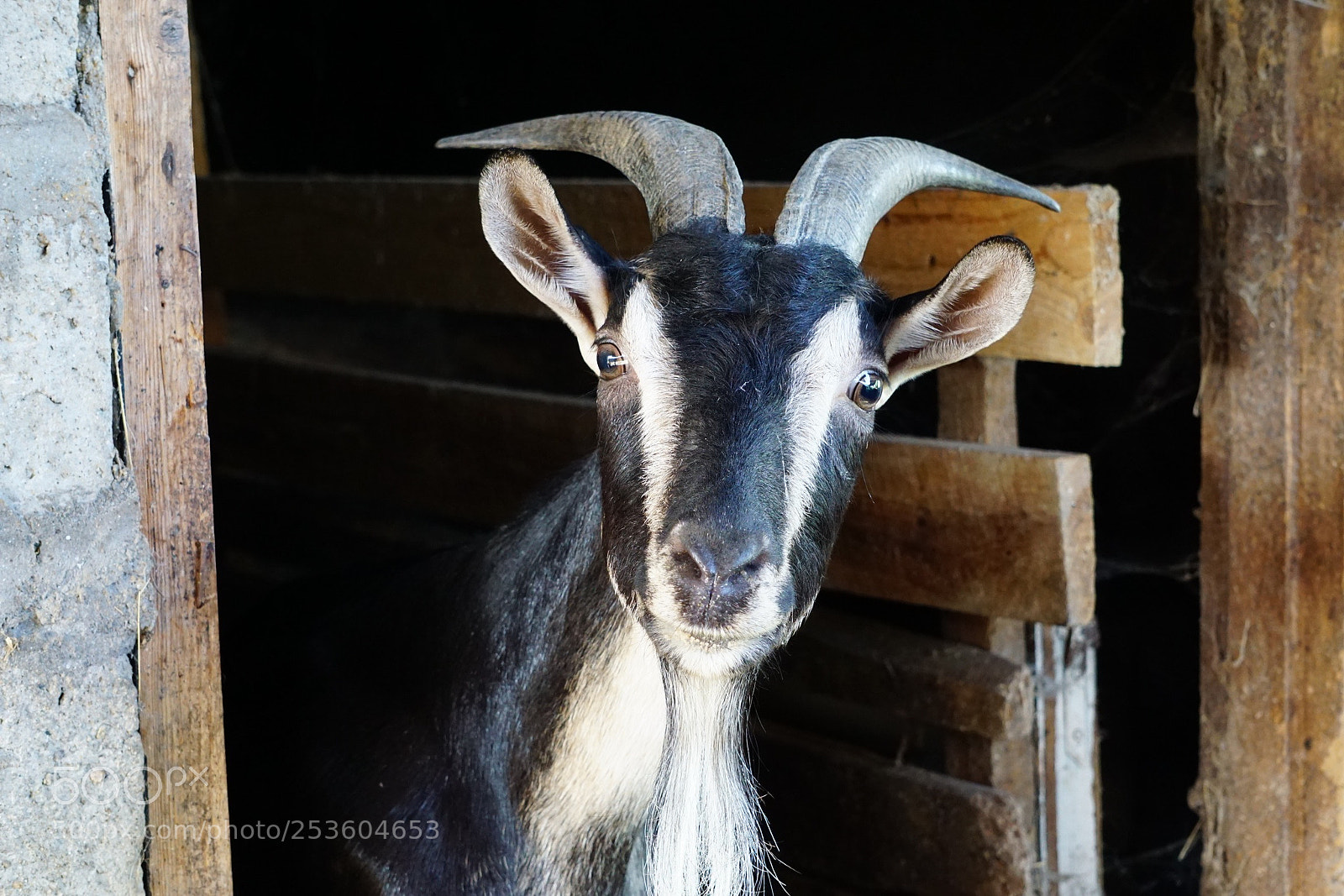 Sony a6000 sample photo. Untitled photography