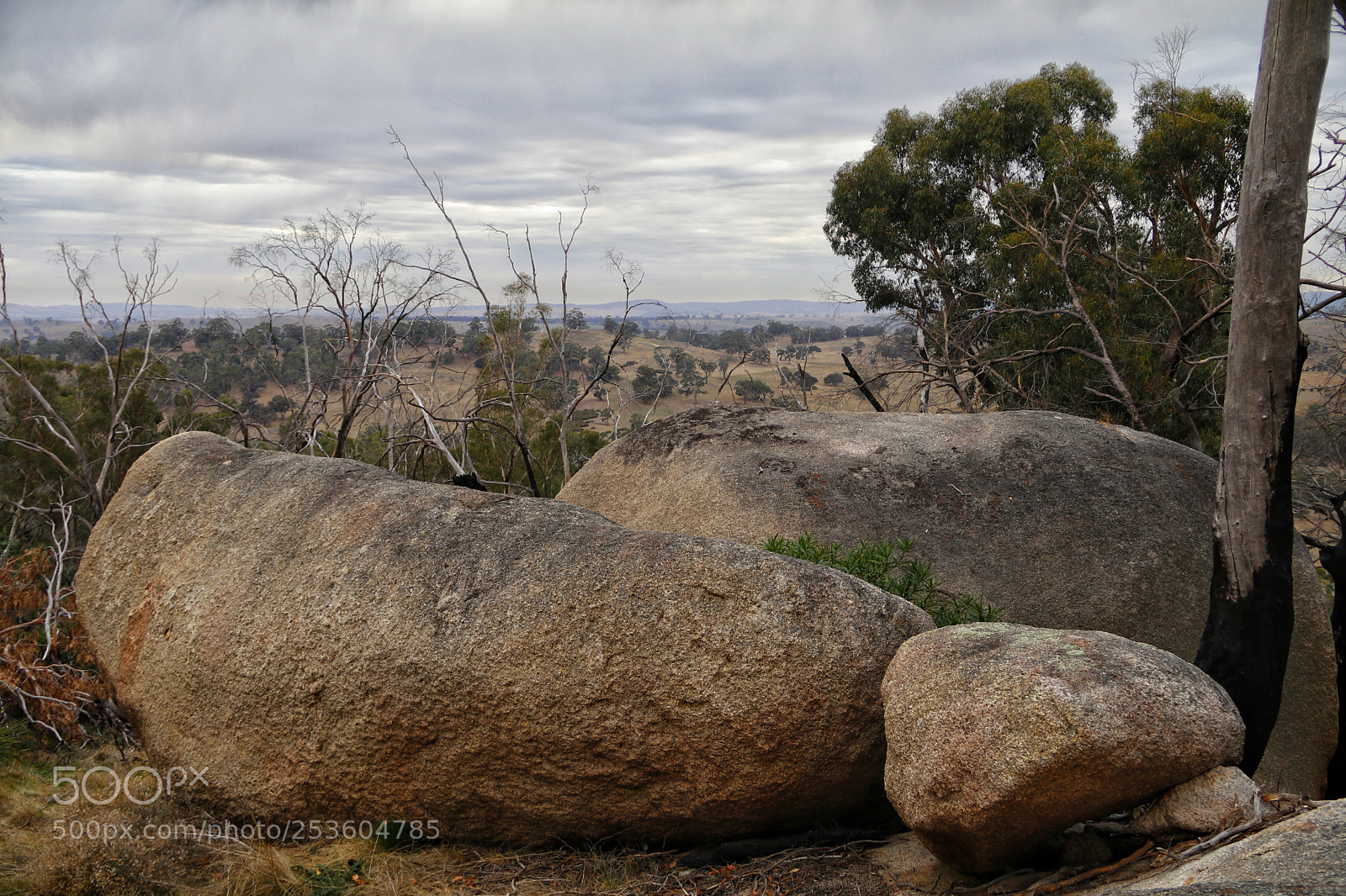 Canon EOS 80D sample photo. A view of mount photography