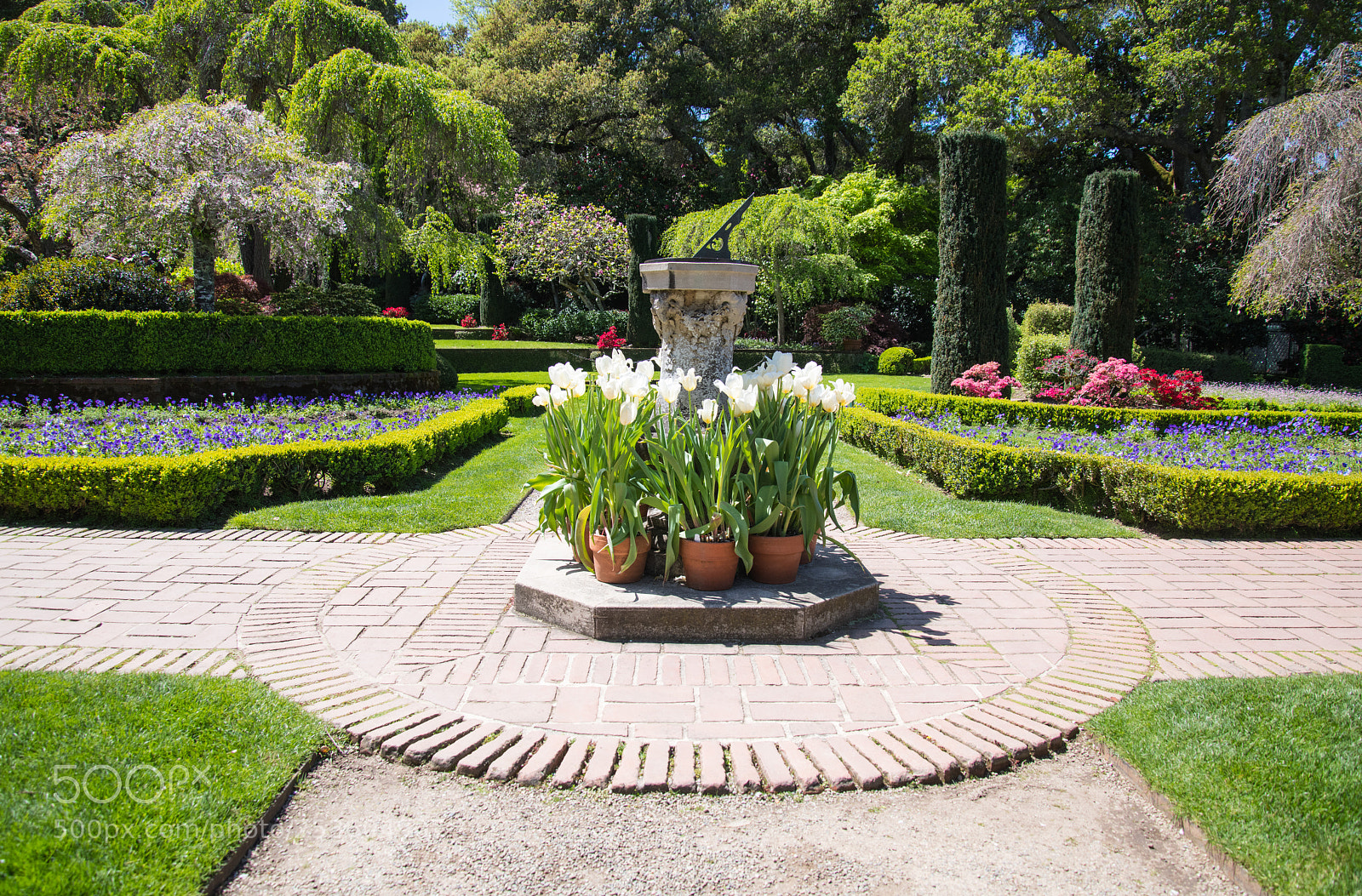 Nikon D850 sample photo. Filoli gardens photography