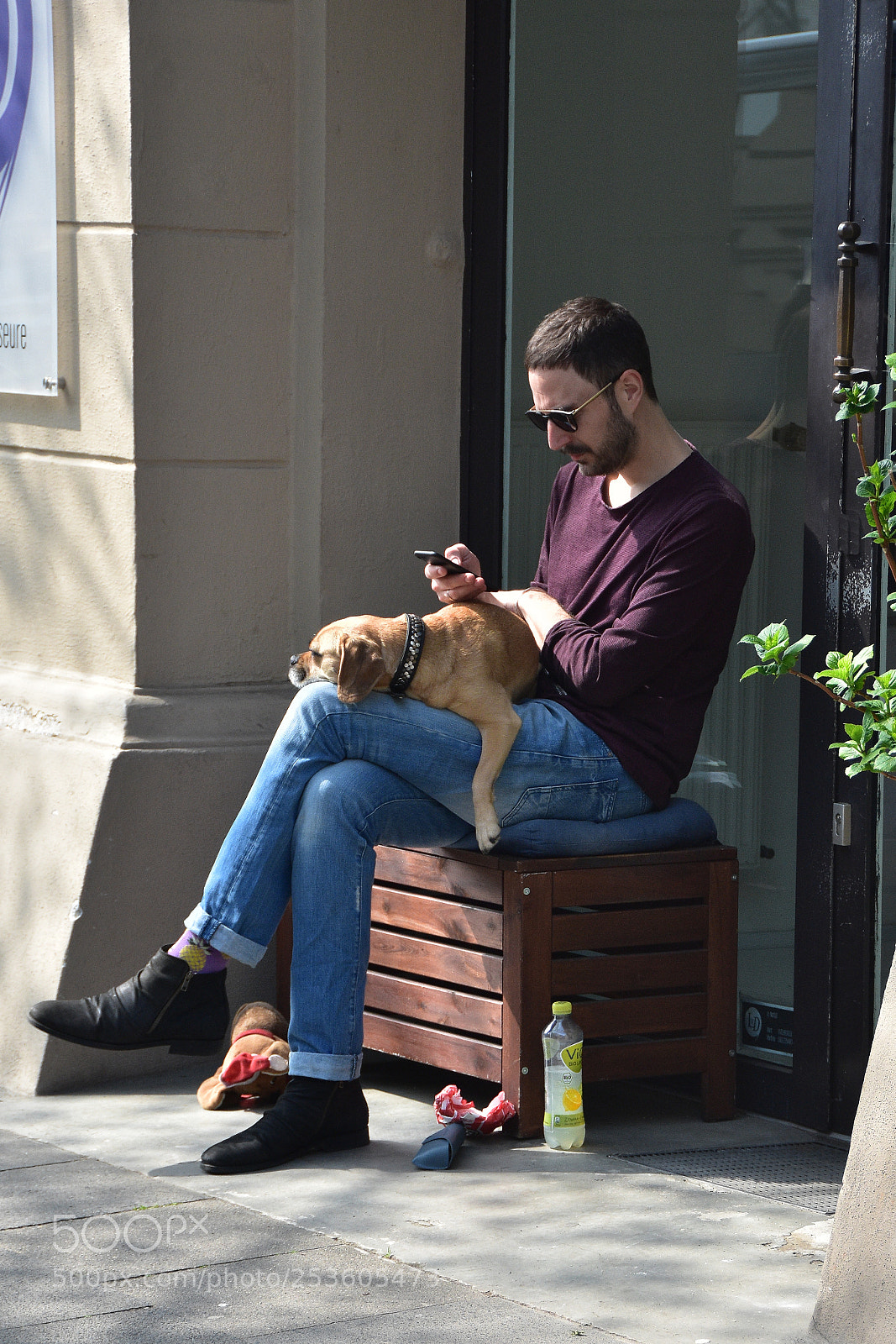 Nikon D7200 sample photo. Lazy in the sun photography