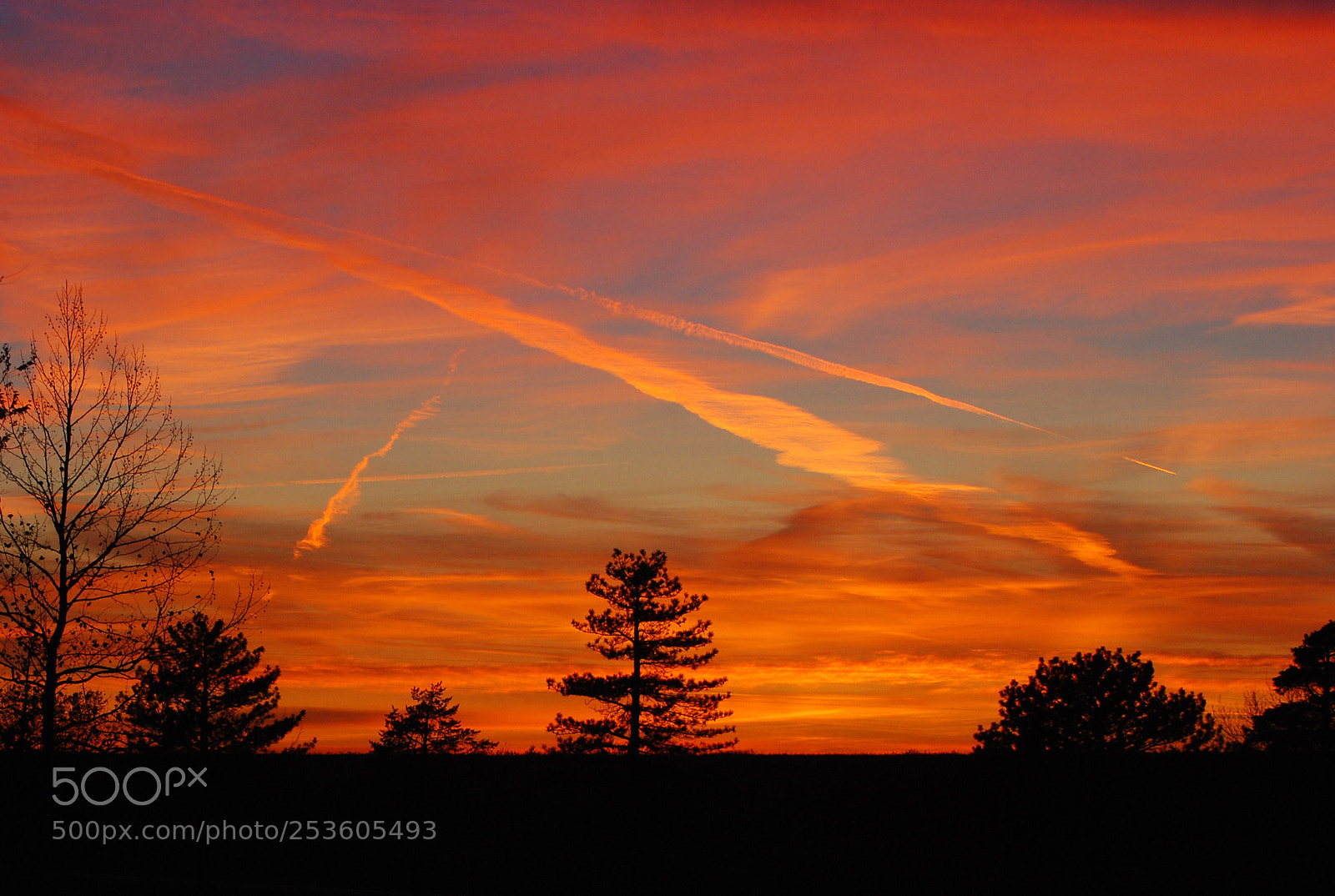 Nikon D80 sample photo. Chem trails photography