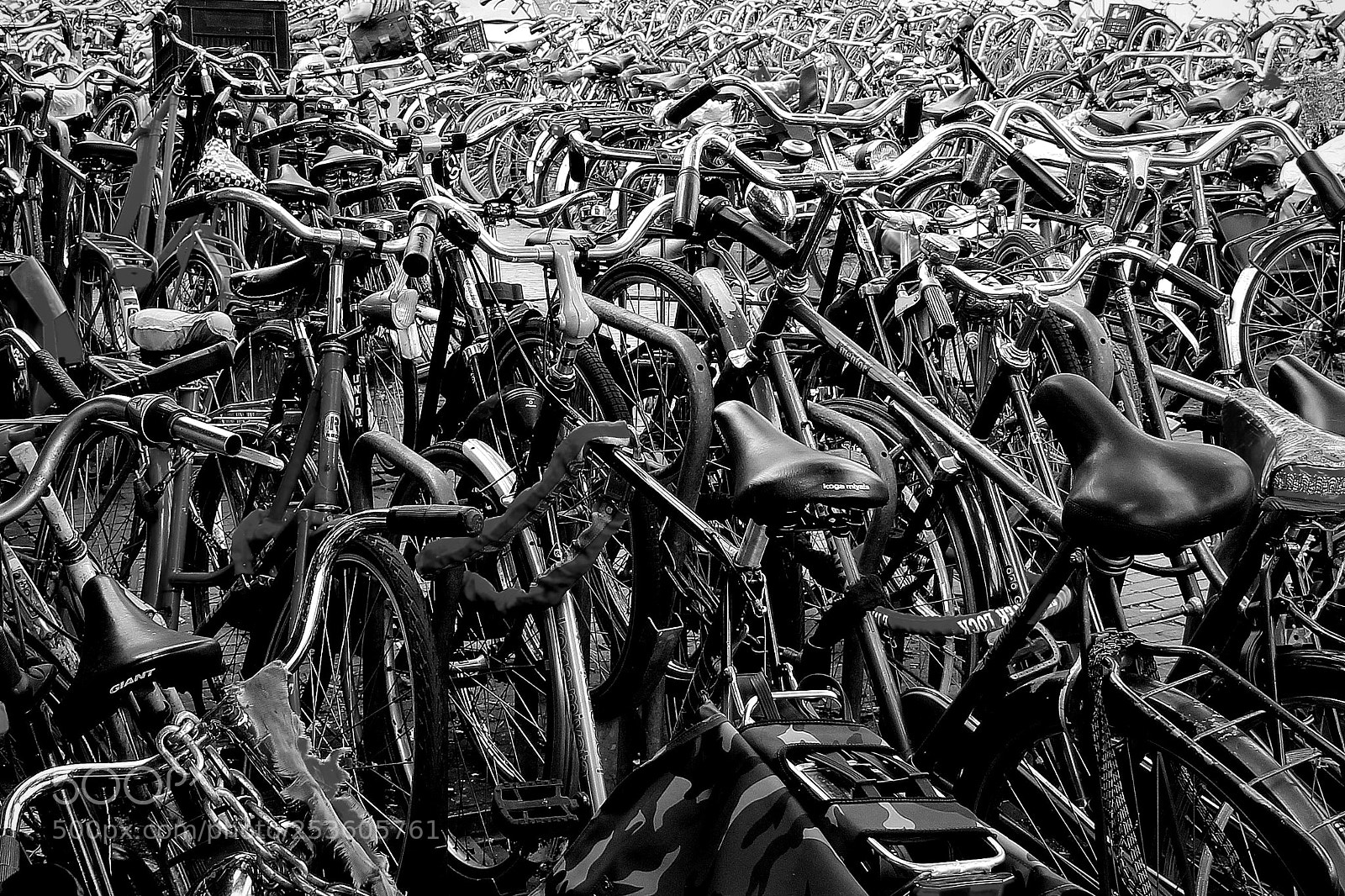 Canon EOS 550D (EOS Rebel T2i / EOS Kiss X4) sample photo. Bicycles photography