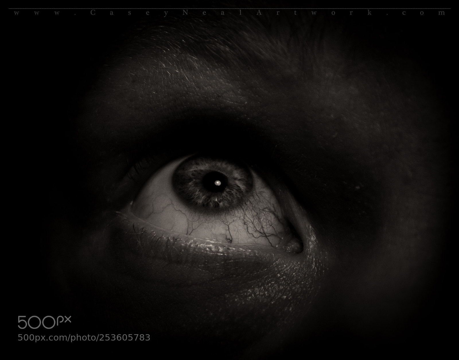 Nikon D5100 sample photo. Submersion photography
