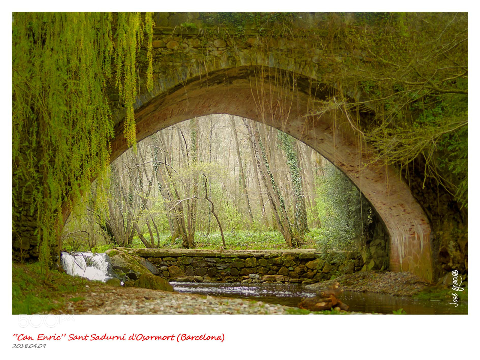 Nikon D7100 sample photo. Can enric photography