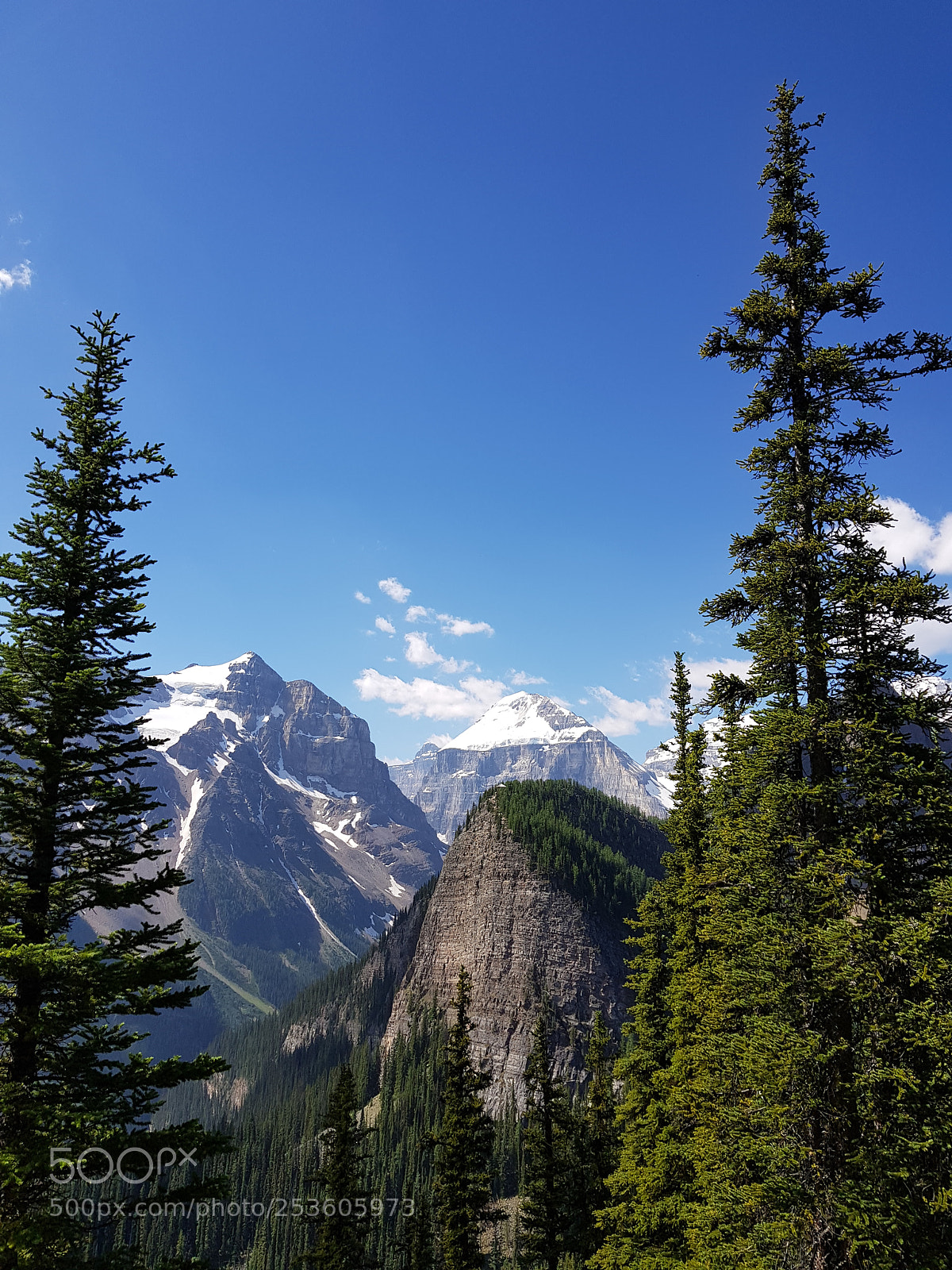 Samsung Galaxy S8+ sample photo. Angelo iacovella - magnificent photography