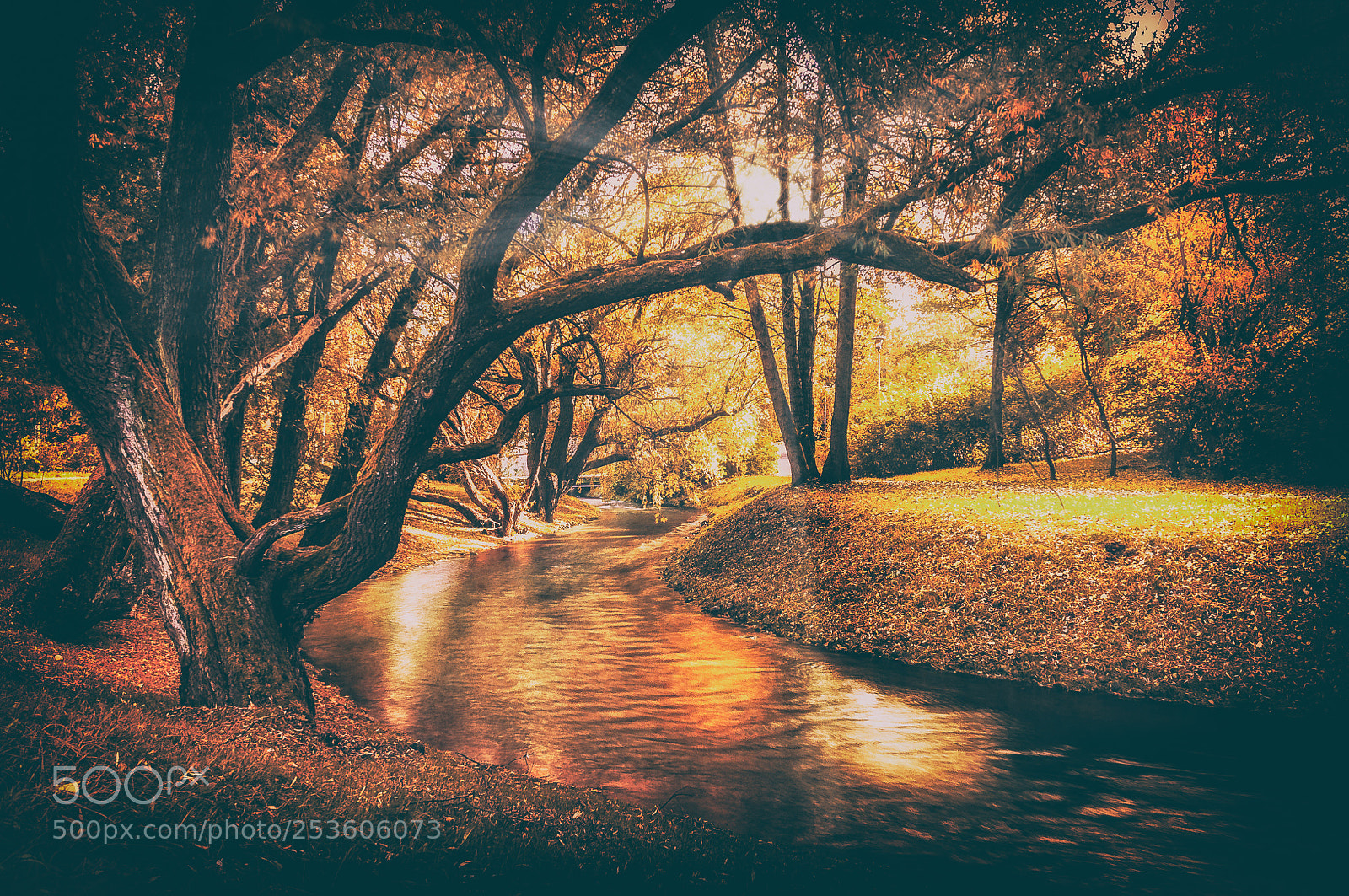 Nikon D300S sample photo. Polish golden autumn photography