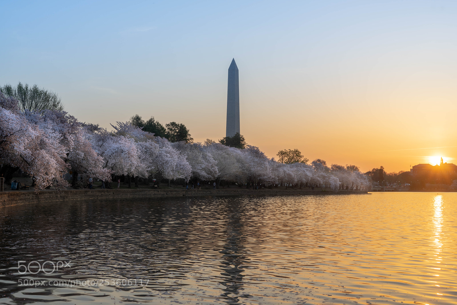 Sony a7R sample photo. Washington monument photography