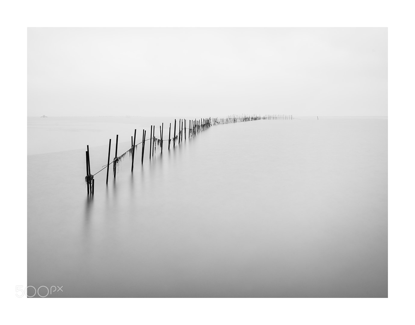 Nikon D810 sample photo. Fishing poles 5 photography