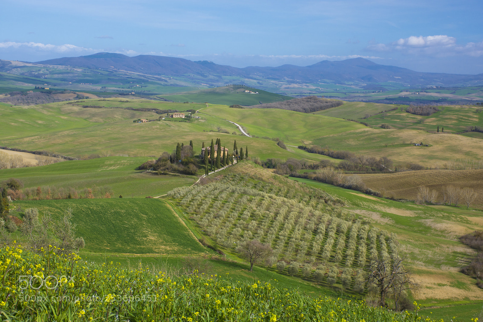 Nikon D7200 sample photo. Spring is coming photography