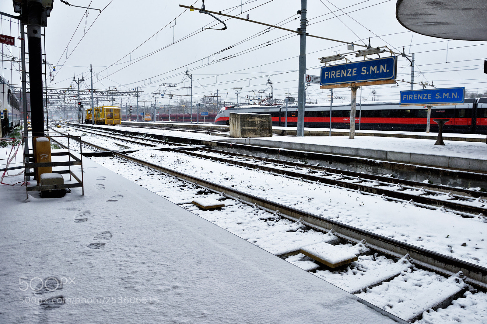 Nikon D810 sample photo. Florence white 01/03/2018 iii photography