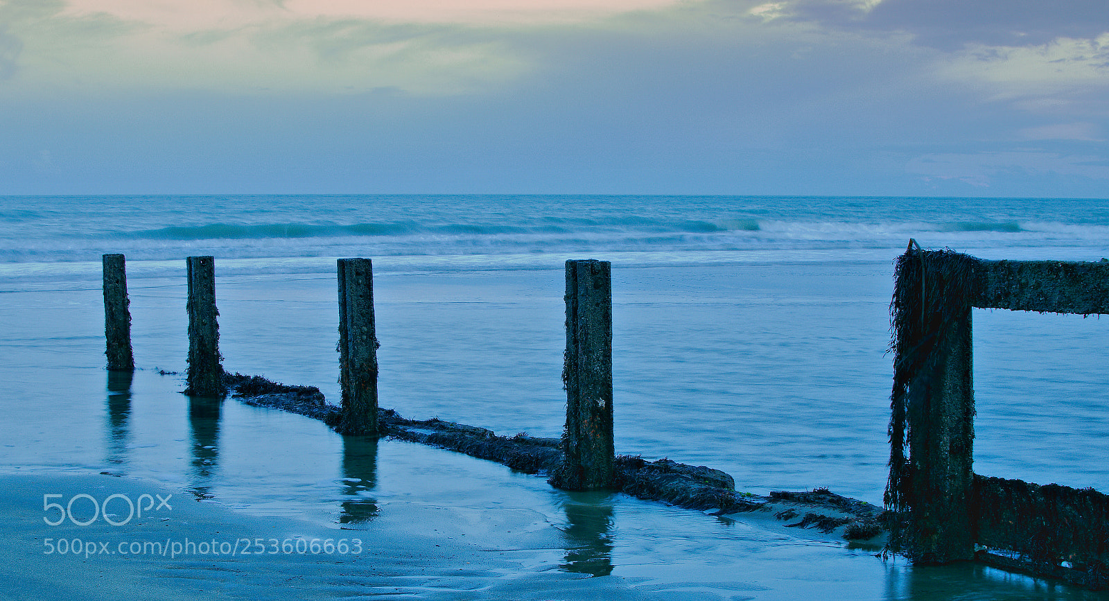 Nikon D5300 sample photo. Groyne seaweed and barnacles photography