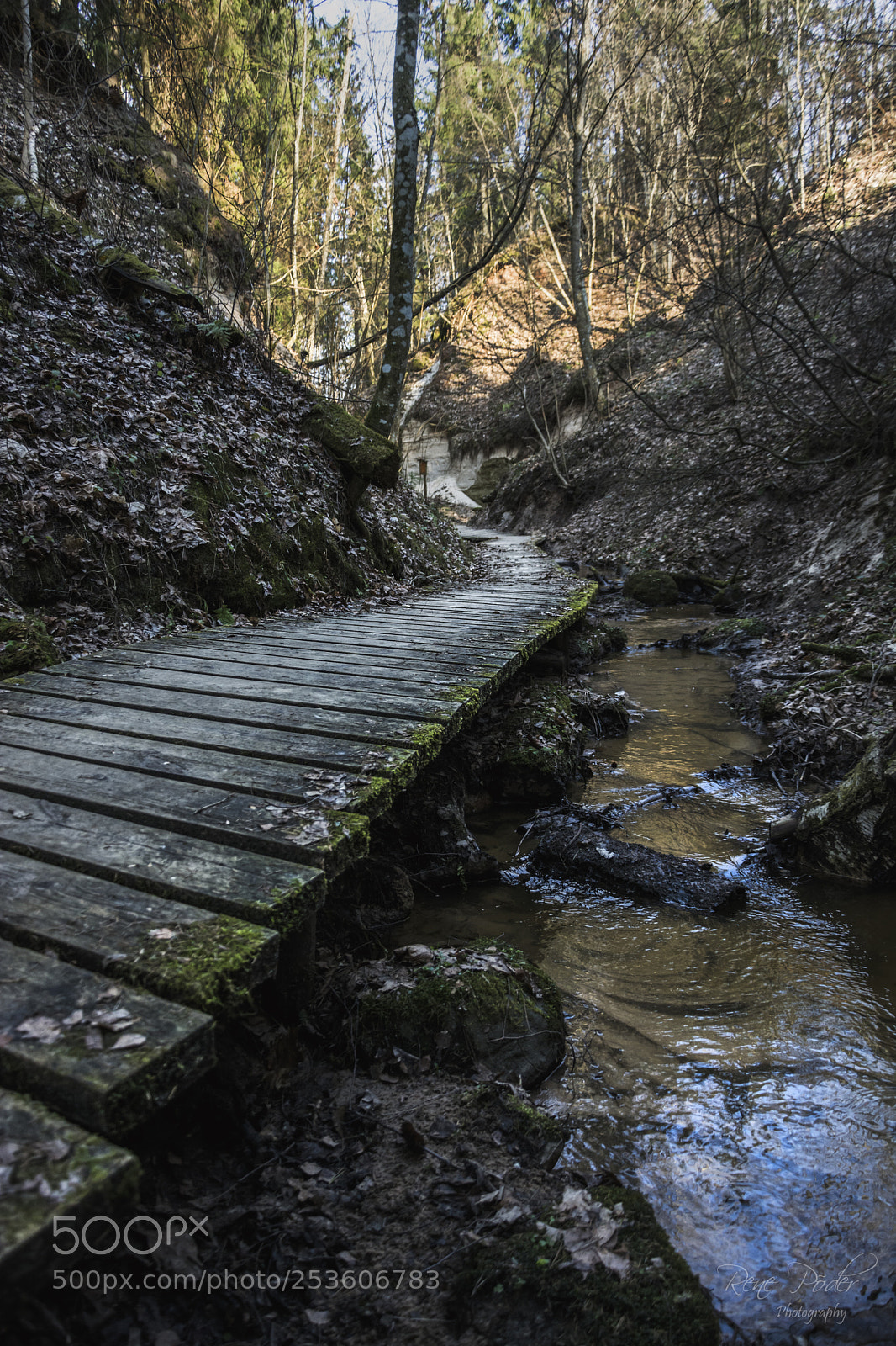 Nikon D7100 sample photo. Spring photography