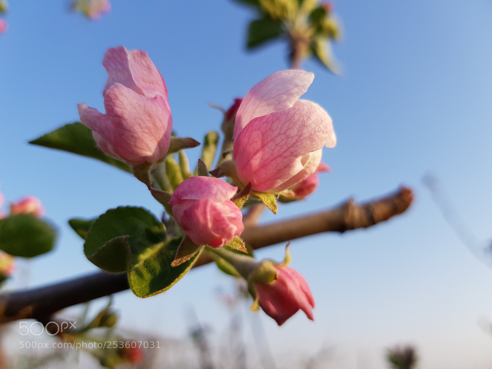Samsung Galaxy S8 sample photo. Untitled photography