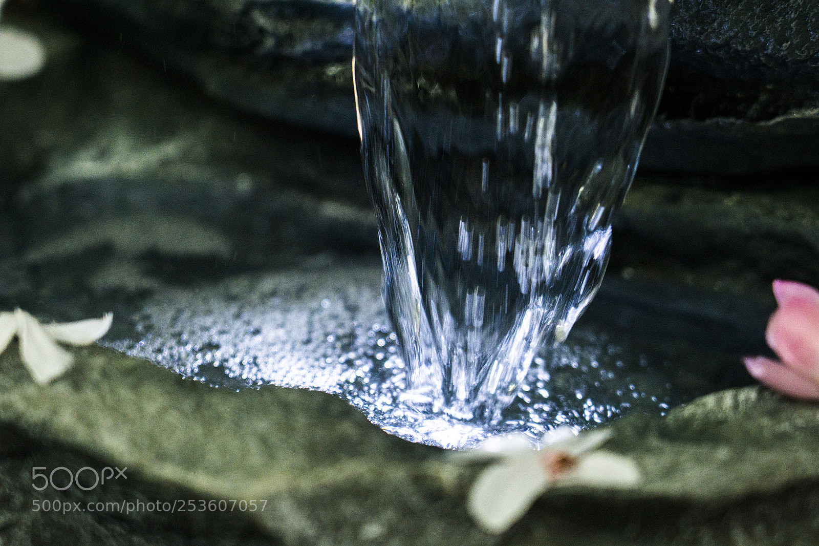 Sony a6000 sample photo. Dsc photography