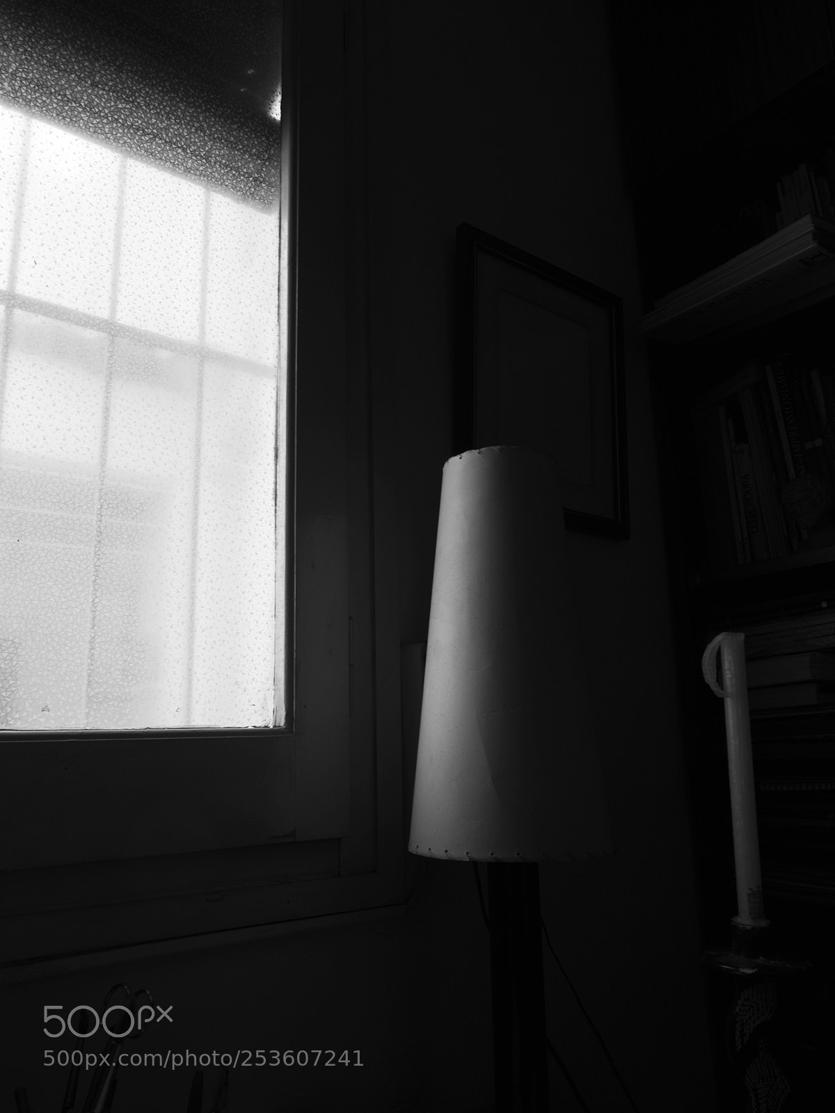 Fujifilm X-T10 sample photo. Untitled photography