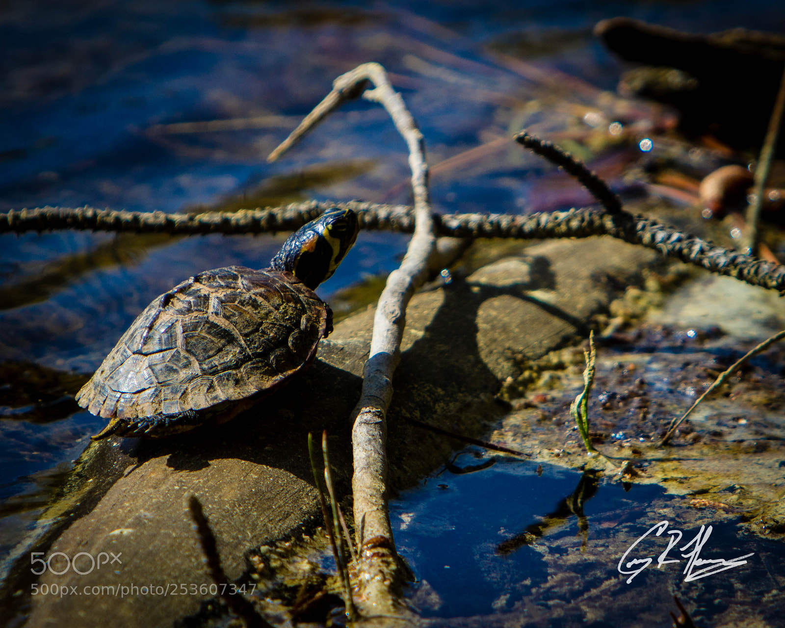 Canon EOS 7D sample photo. Untitled photography