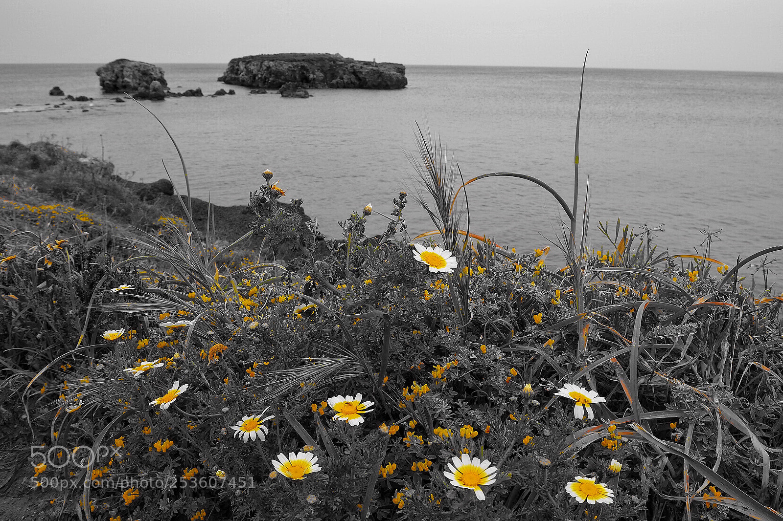 Olympus OM-D E-M10 III sample photo. Untitled photography