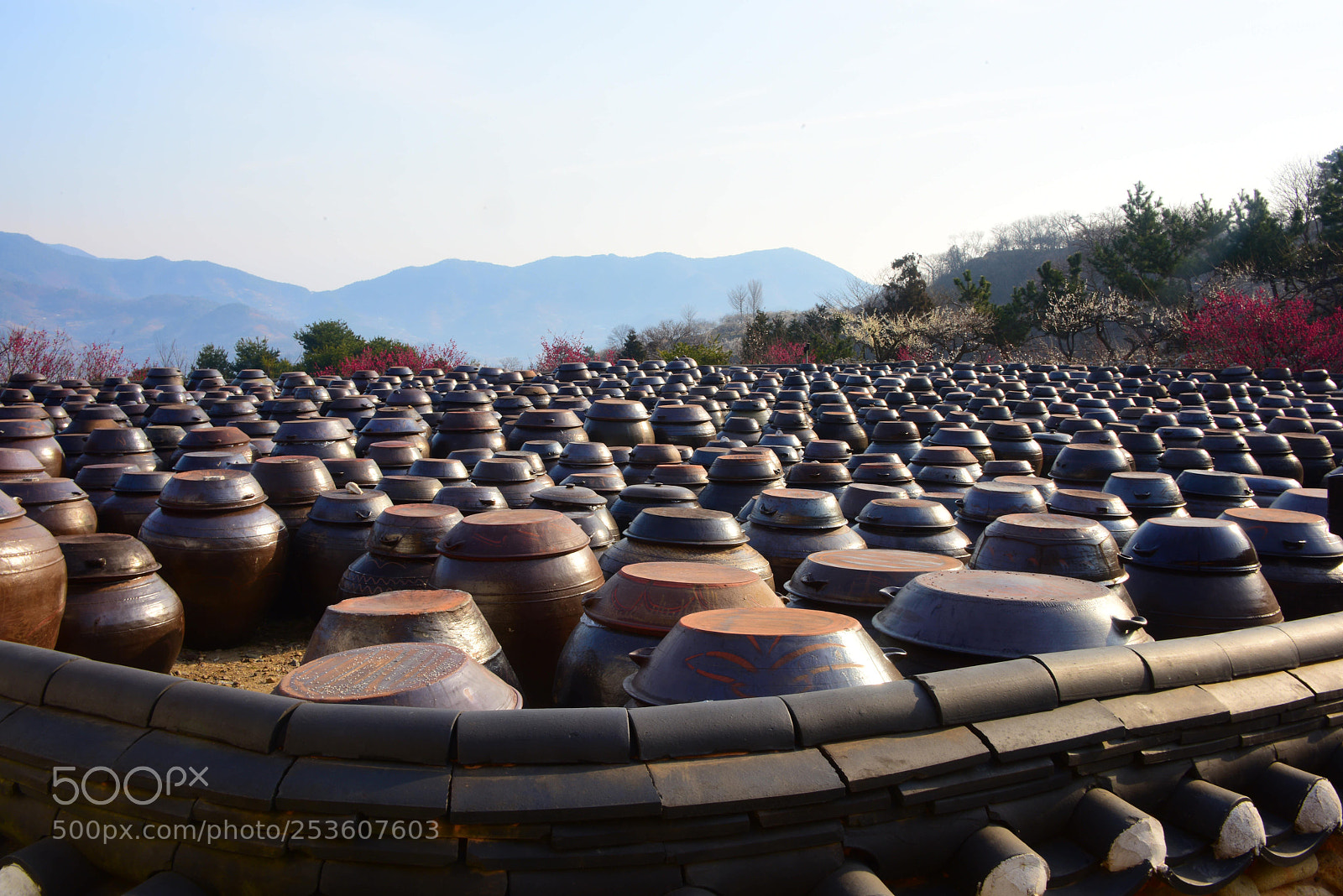 Nikon D810 sample photo. Around photography