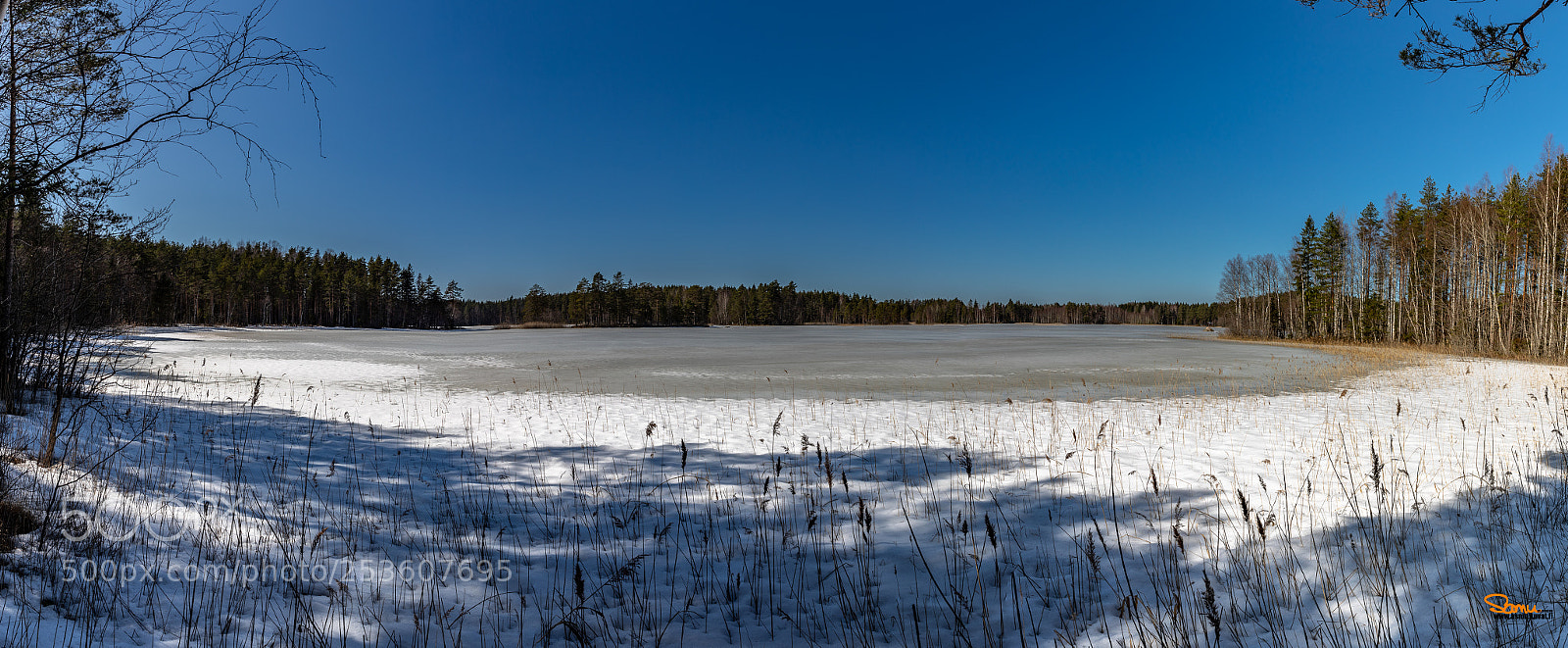 Canon EOS-1D X Mark II sample photo. Lake pääjärvi 1 photography