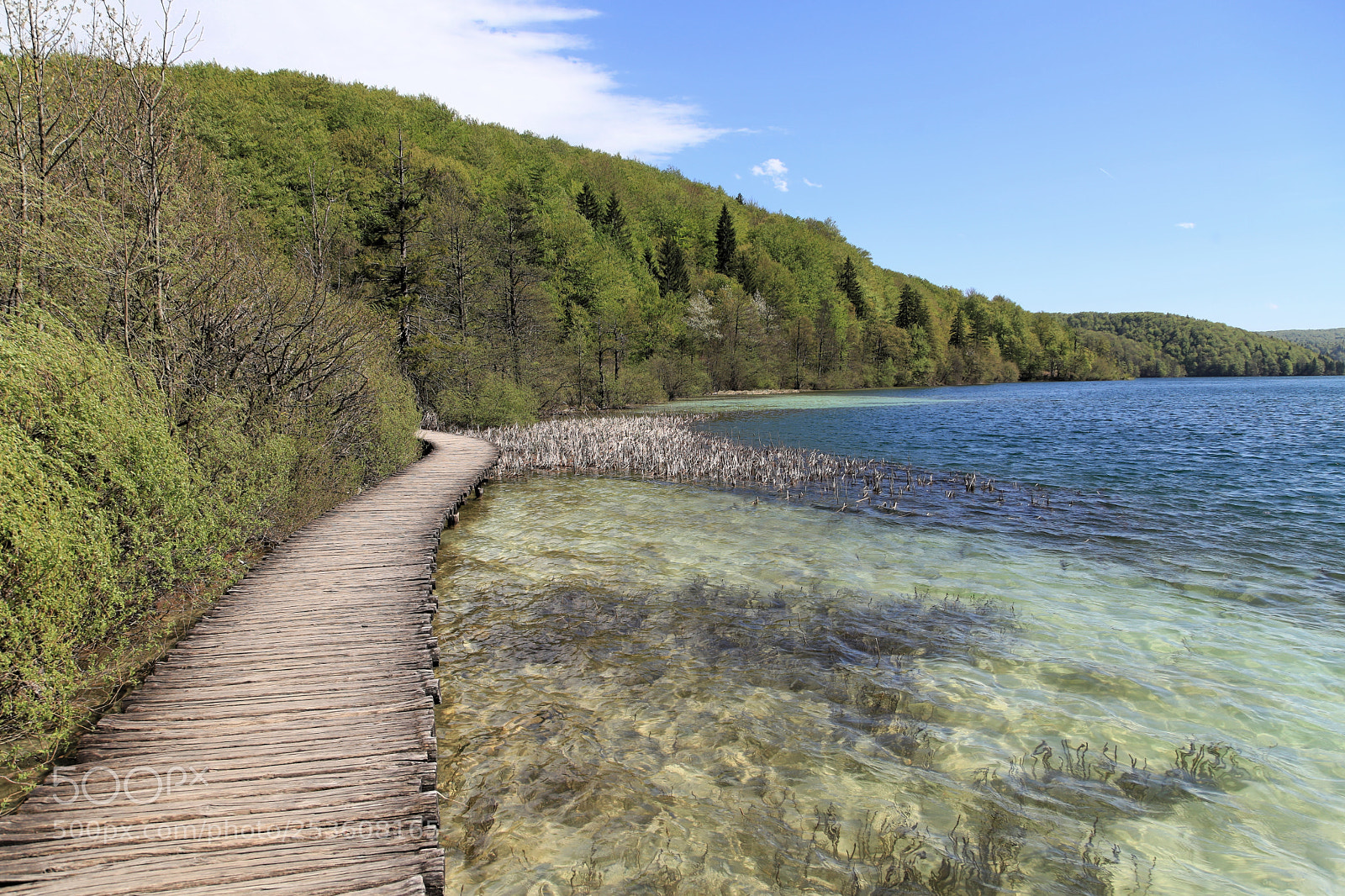 Canon EF 24-105mm F4L IS USM sample photo. Path, plitvice, croatia photography