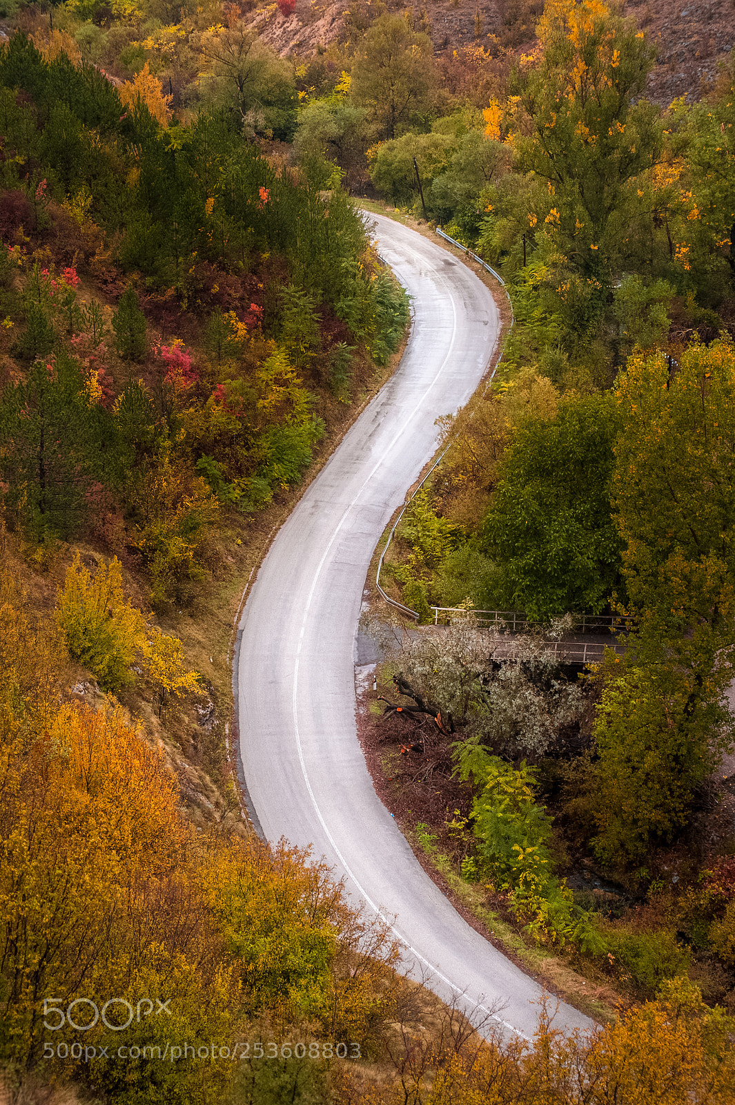 Nikon D700 sample photo. S road photography