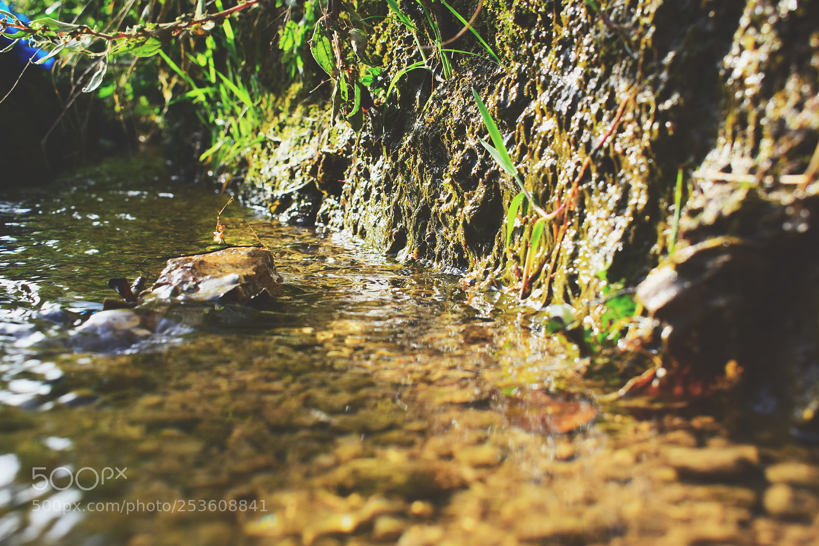 Nikon D3300 sample photo. Untitled photography