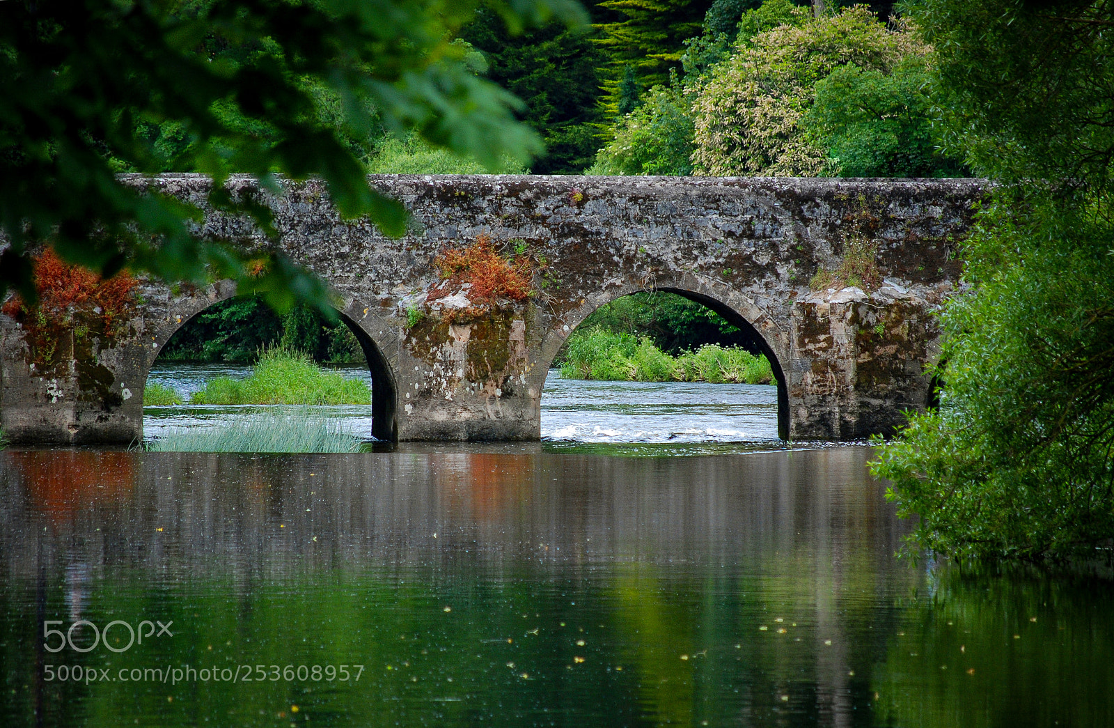 Nikon D80 sample photo. Old bridge photography