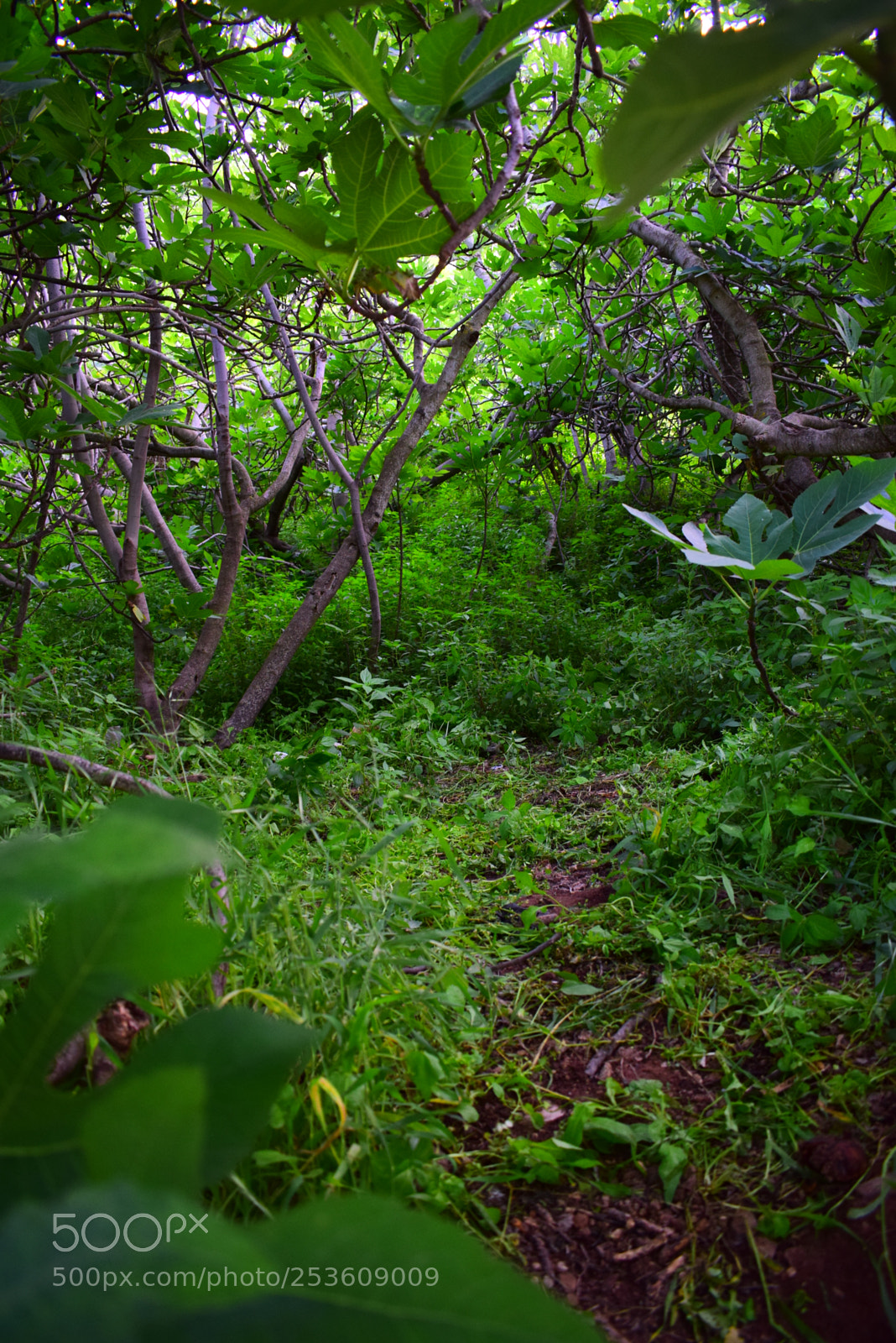 Nikon D3300 sample photo. Untitled photography