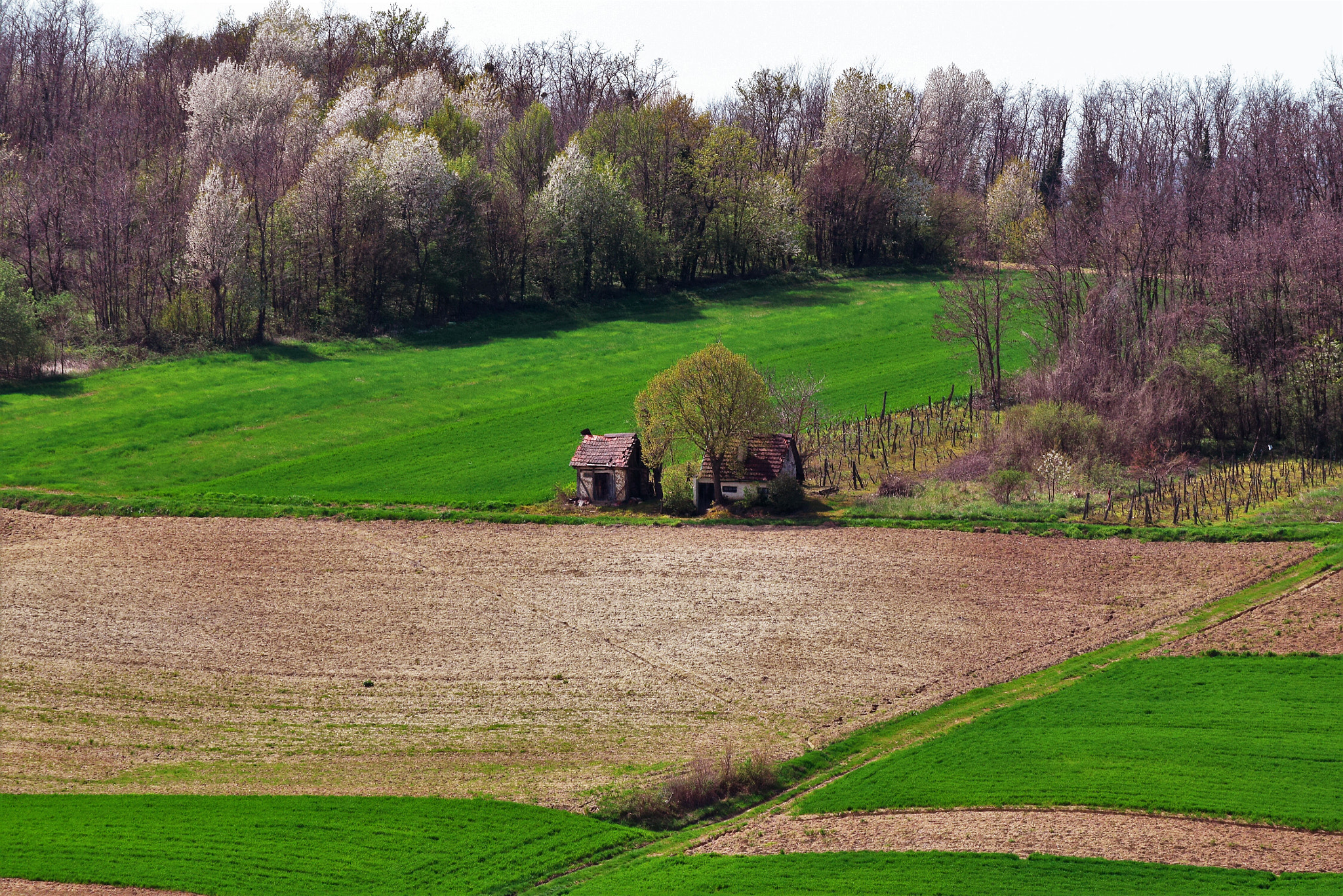 Nikon D3300 sample photo. Split house photography