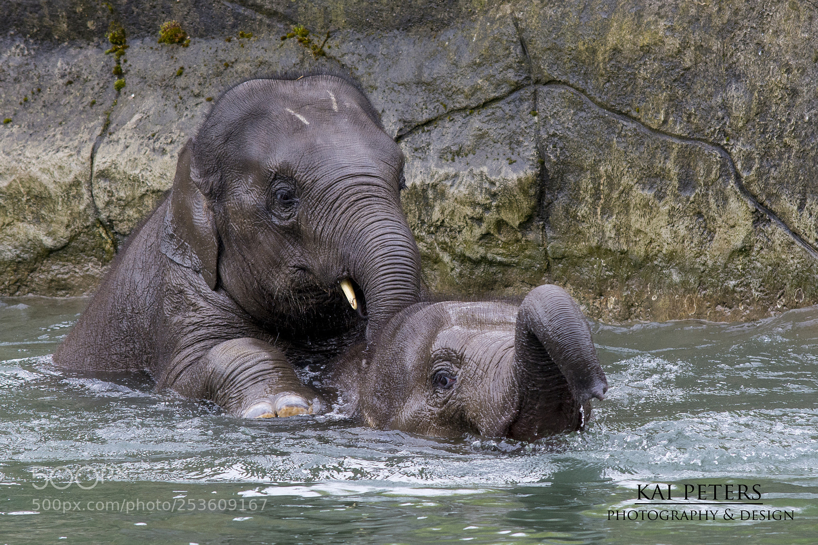Nikon D7100 sample photo. Elefantenbabys photography