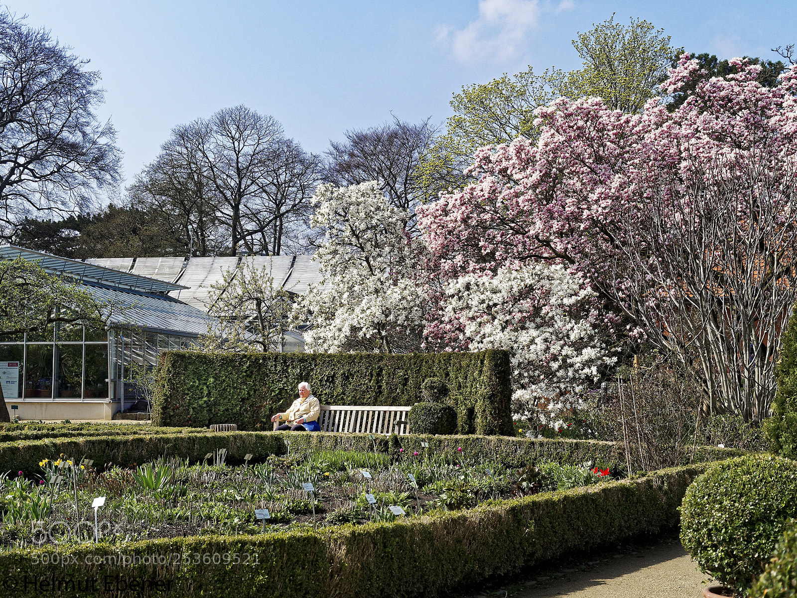 Olympus OM-D E-M5 sample photo. Bs, botanischer garten der photography