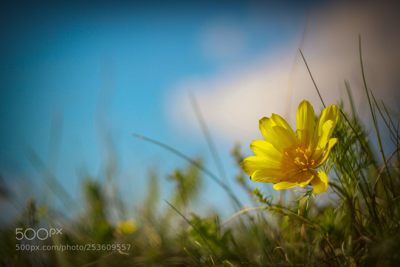 Canon EOS 50D sample photo. Silence photography