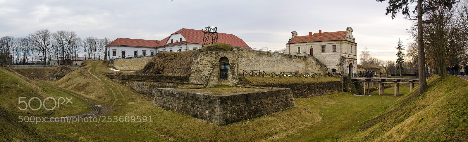 Nikon D5100 sample photo. Panoramic view of zbarazh photography