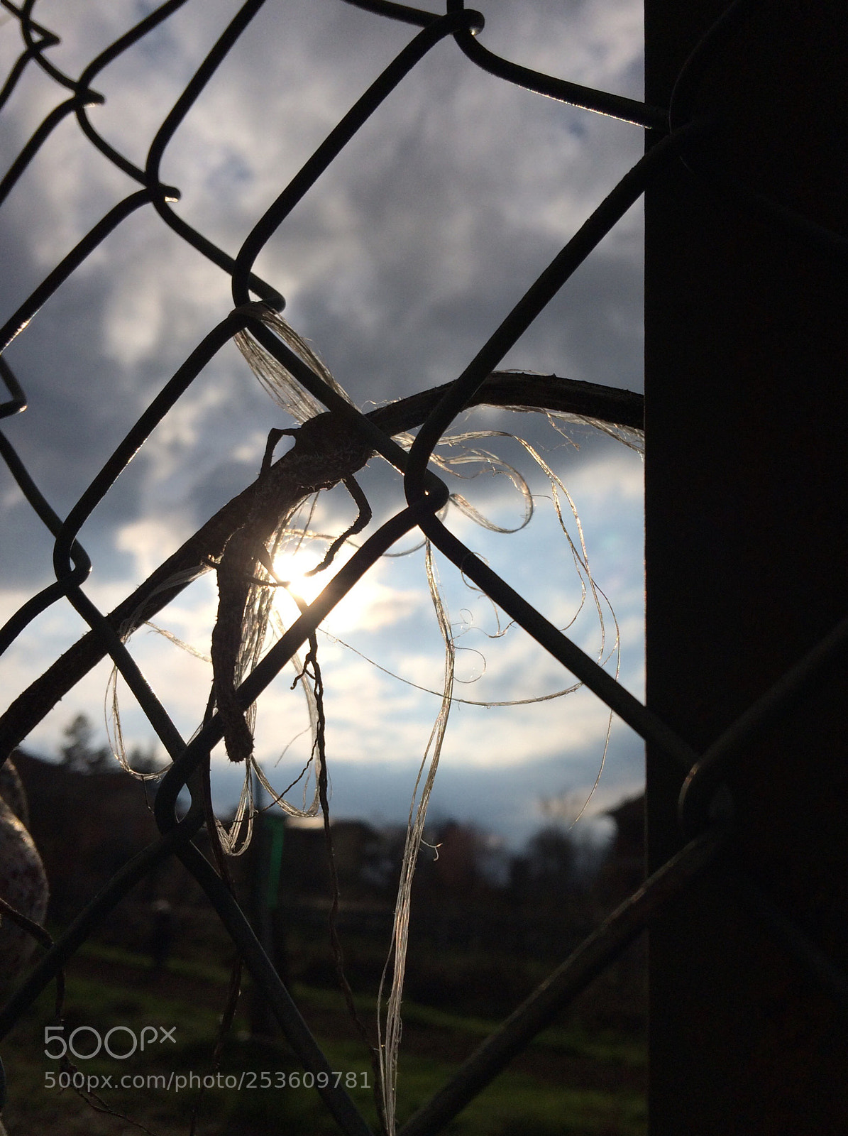Apple iPhone 5s sample photo. Untitled photography