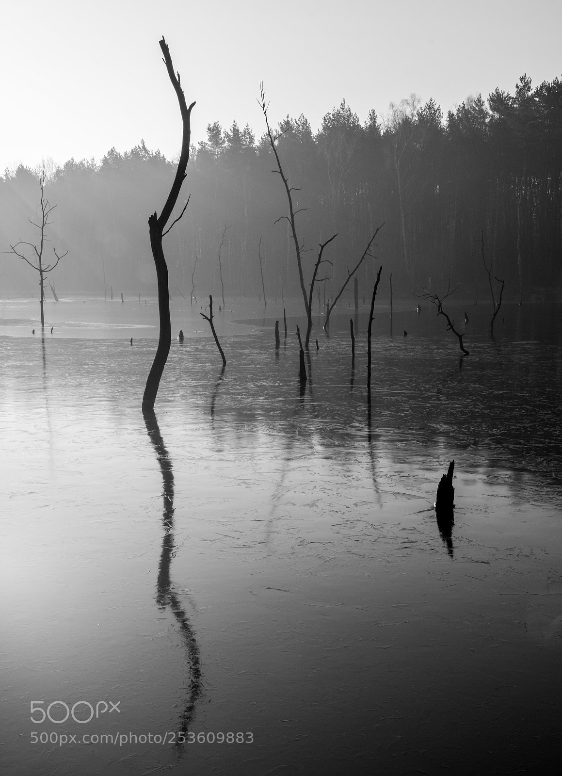 Nikon D7100 sample photo. Thin ice photography