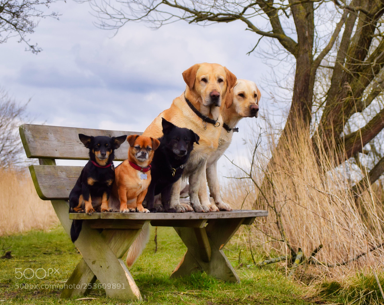 Nikon D3300 sample photo. Poser photography