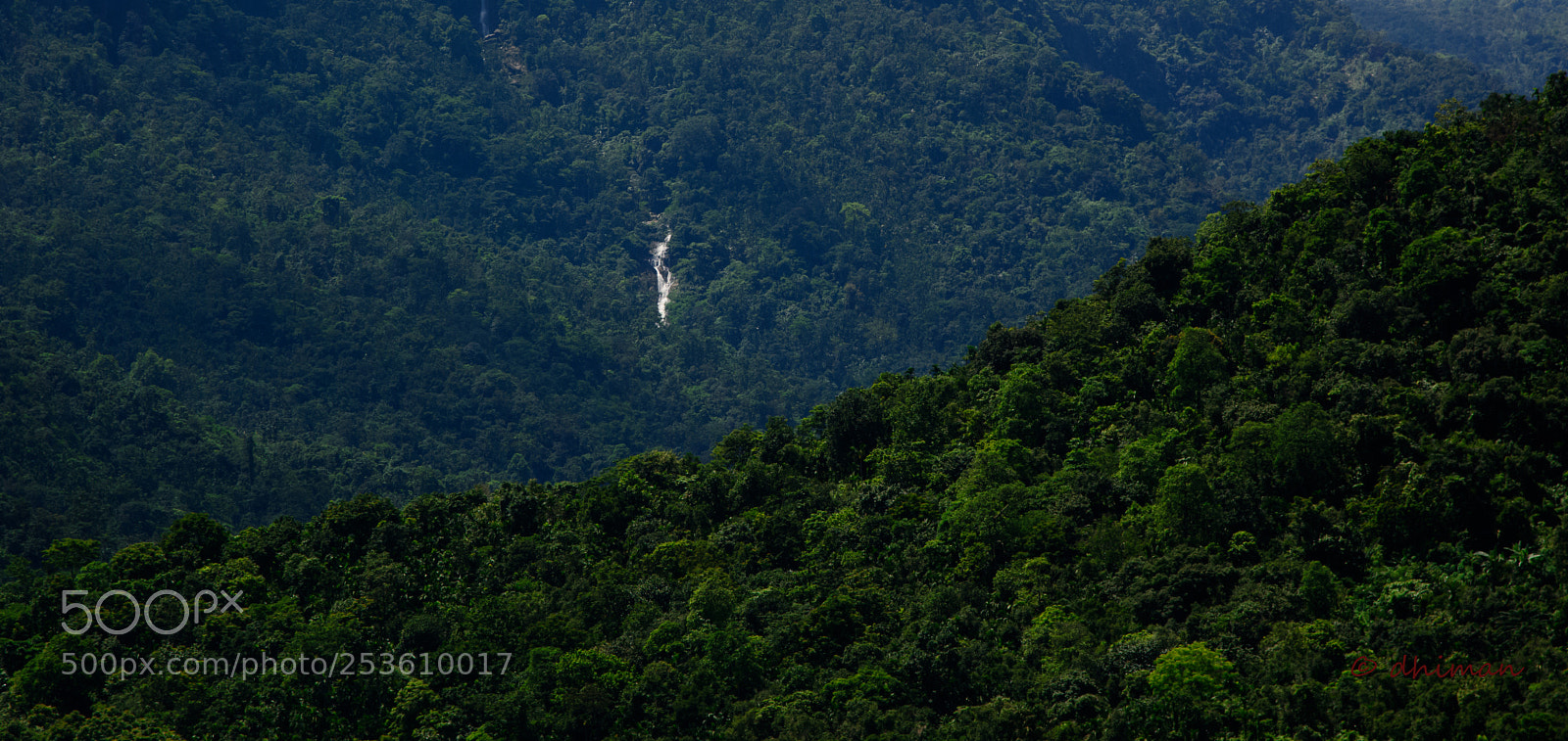 Nikon D7100 sample photo. Border in b w photography