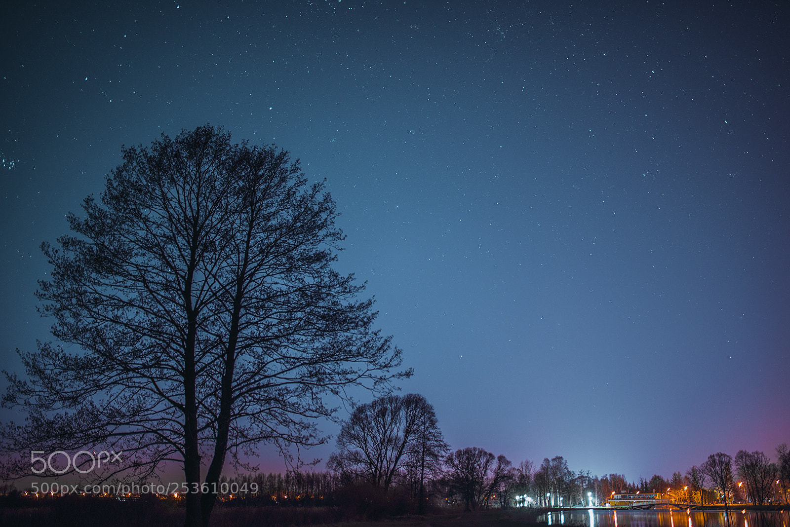 Nikon D600 sample photo. Untitled photography