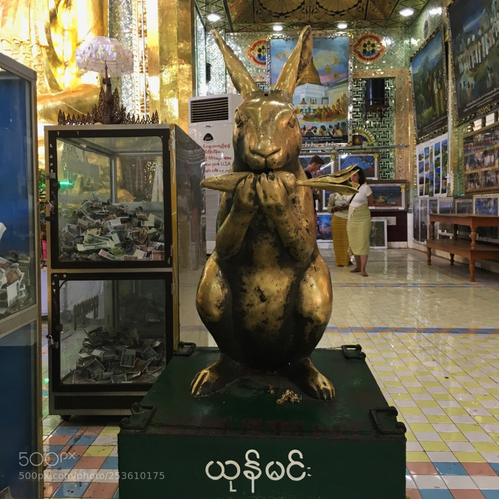 Apple iPhone 6s sample photo. Sagaing photography