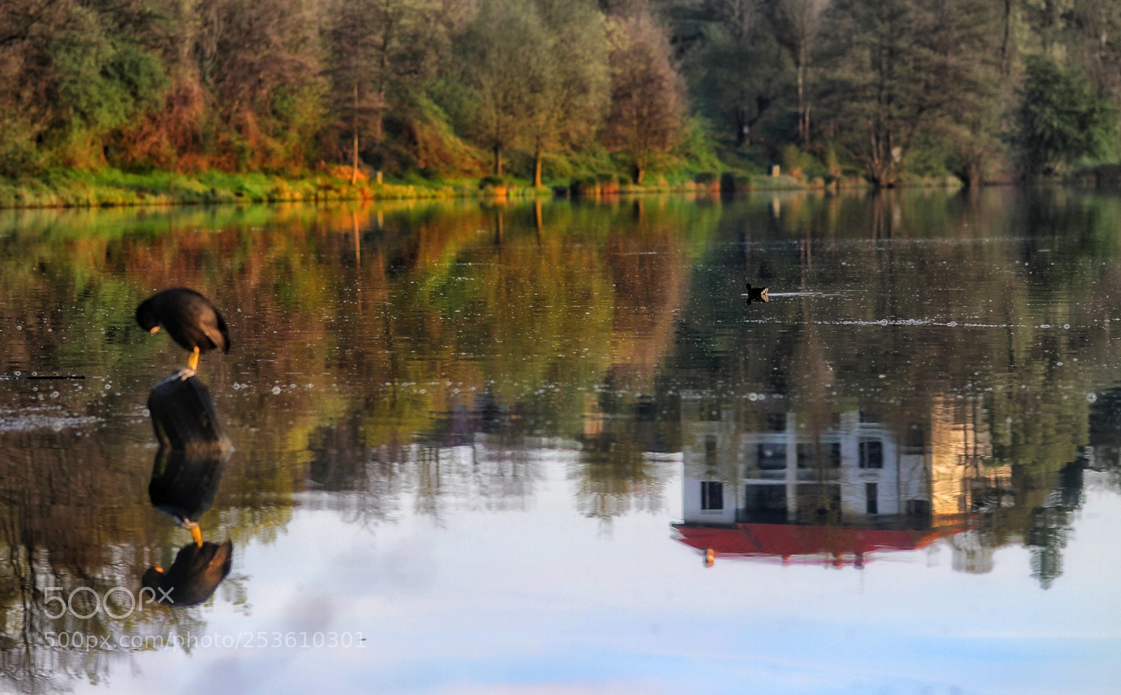Canon EOS 7D sample photo. Riflessi e riflessioni photography
