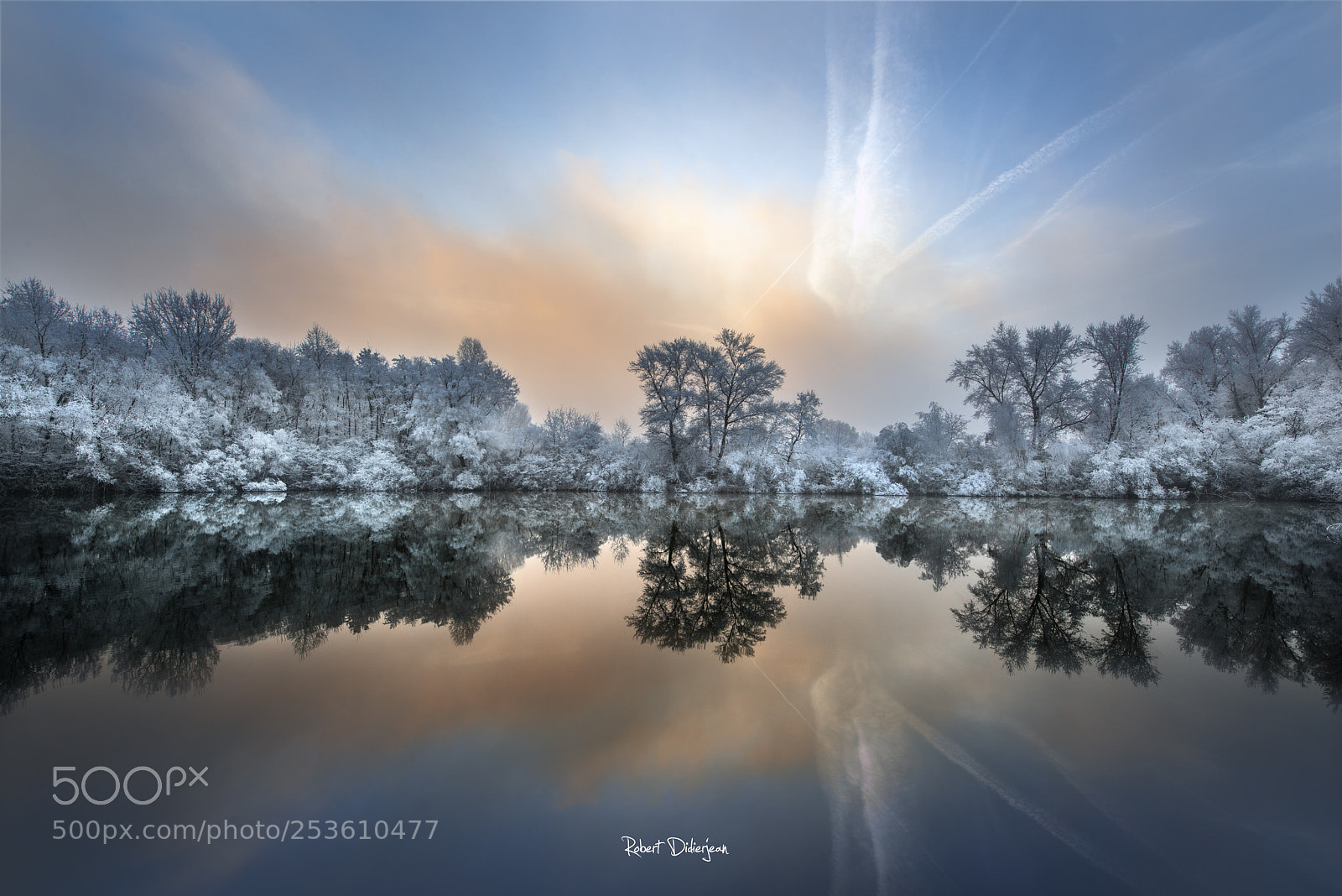 Nikon D810 sample photo. Frozen morning photography
