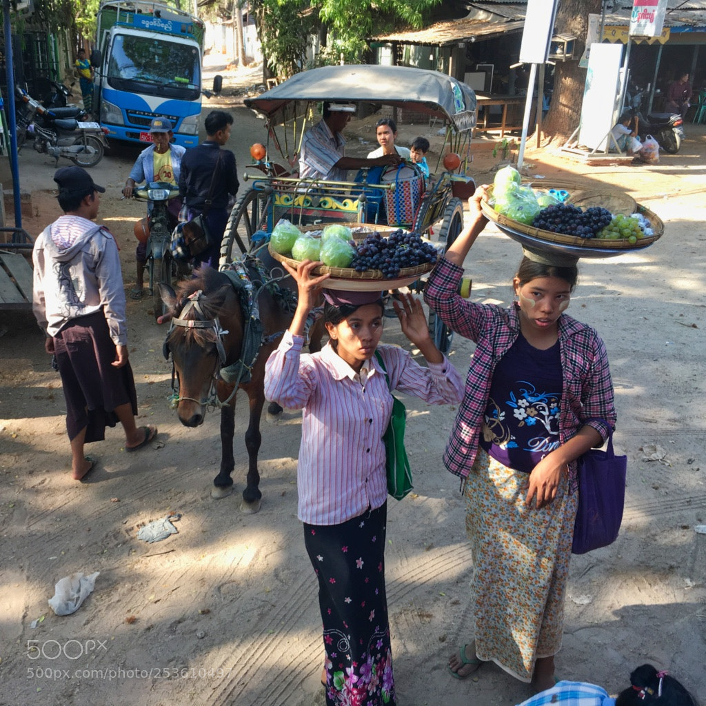 Apple iPhone 6s sample photo. View from the bus photography