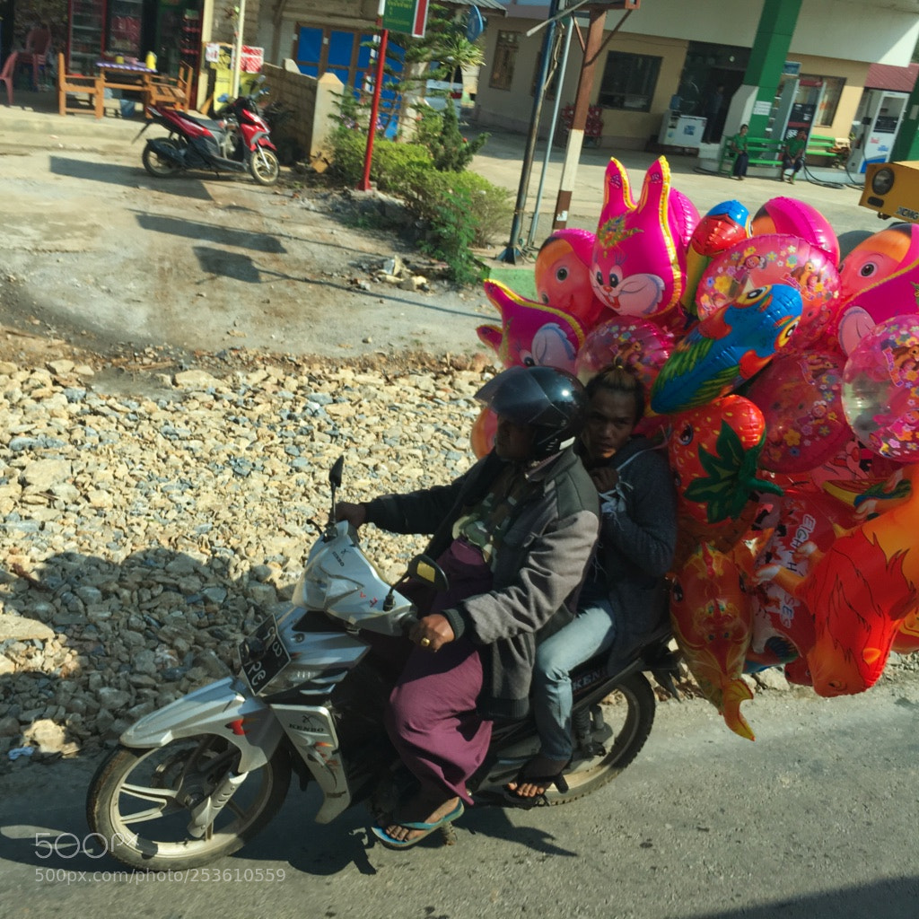 Apple iPhone 6s sample photo. View from the bus photography