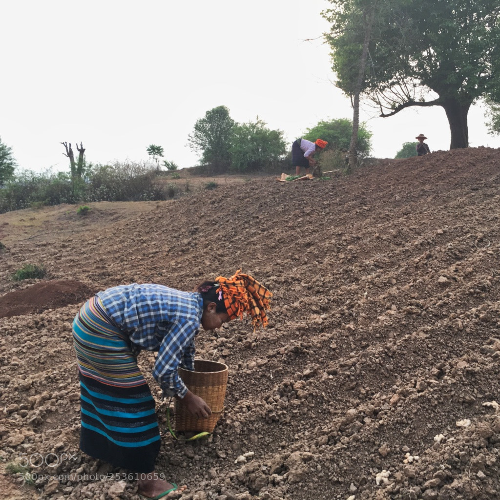 Apple iPhone 6s sample photo. Trek between kalaw and photography