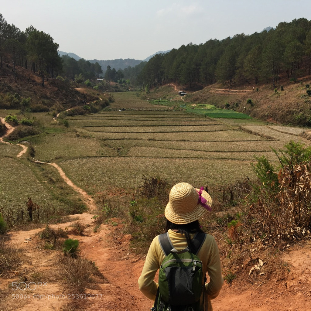 Apple iPhone 6s sample photo. Trek between kalaw and photography