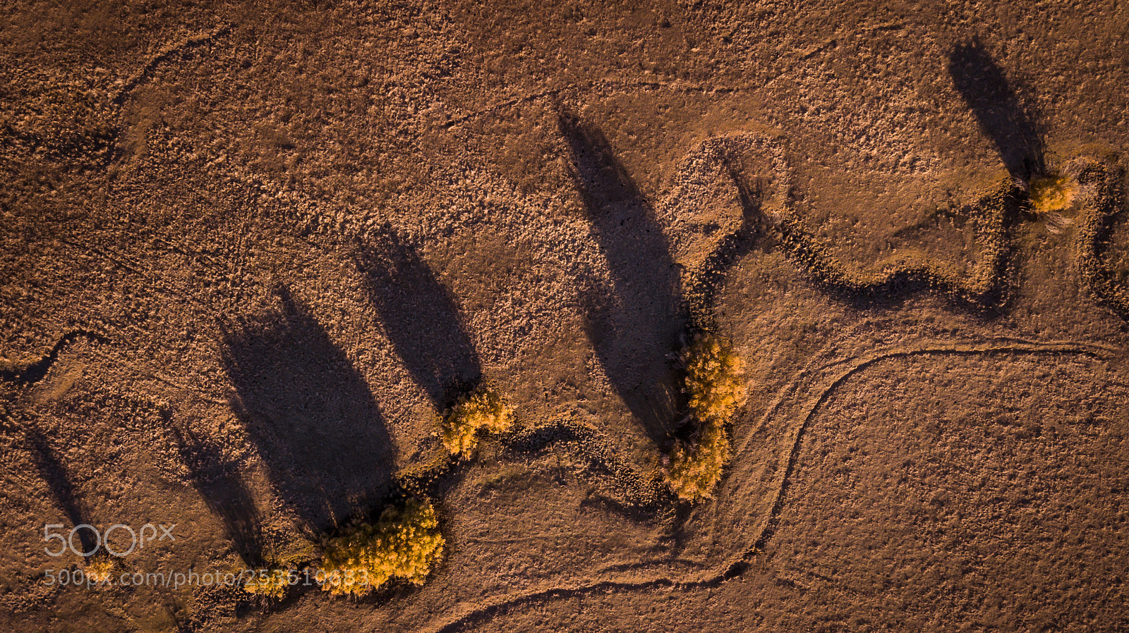 DJI FC220 sample photo. Long shadows photography