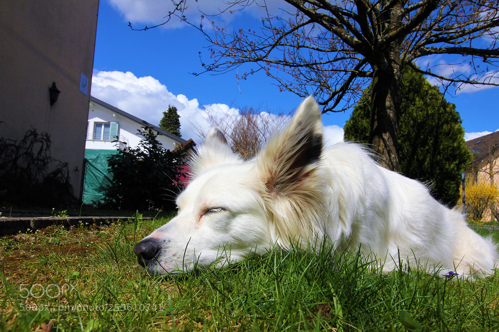 Canon EOS 60D sample photo. I'am feeling good.... photography