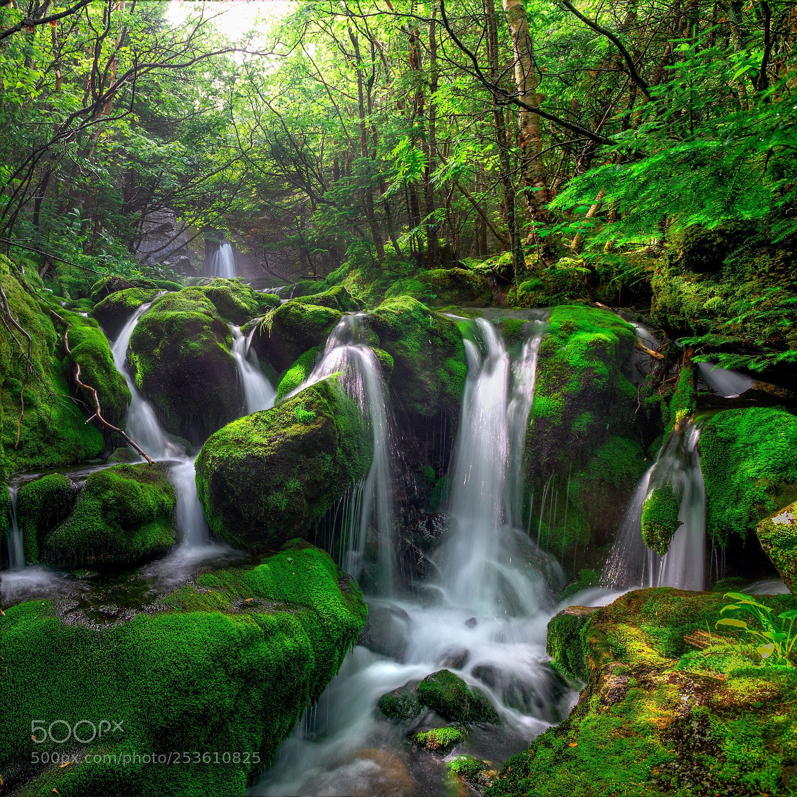 Nikon D610 sample photo. Magical falls photography